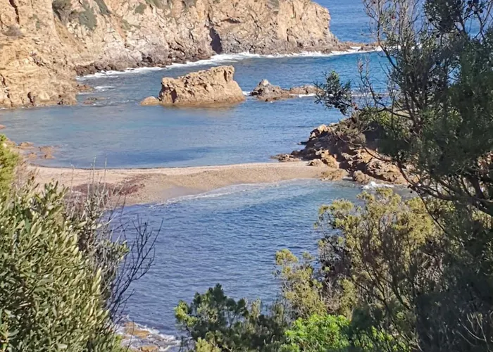 I Colori Di Bed & Breakfast Chia